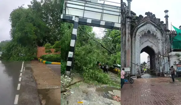 लखनऊ में मूसलाधार बारिश के चलते कहीं पेड़ की डाल तो कहीं गेट का हिस्सा गिरा
